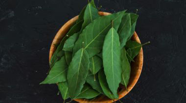 garnishing-instructions-image